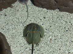 -南昌海洋公园