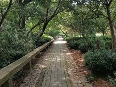 -雨花胜境
