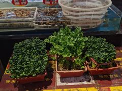 -旺角小渔村(幸福中路店)