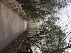 iphone_upload_pic-溱湖国家湿地公园