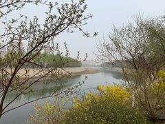 -桃花堤公园