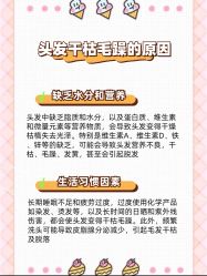 -Bollins波林丝•专研护发中心