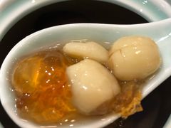红枣桃胶糖水-裕莲楼(环球港店)