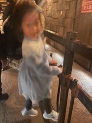 -翱翔飞越地平线