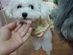 -爱诺耐芙动物医院(万博店)