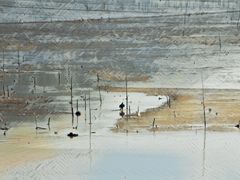 -北岐滩涂