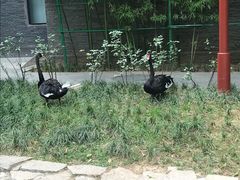 -西安曲江寒窑遗址公园