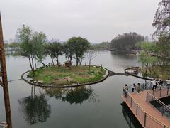 -武汉动物园