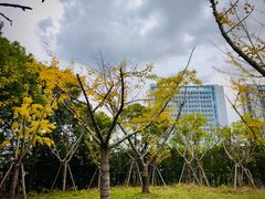 -颐景园