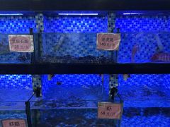 -莲花公园煎蟹(总店)