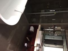 环球恐龙城维景国际大酒店-常州环球恐龙城维景国际大酒店