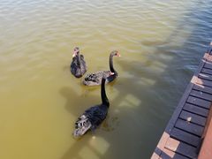 -南大港湿地风景区