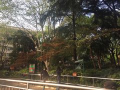 -华山儿童公园