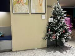 -海马体照相馆(佛山岭南站店)