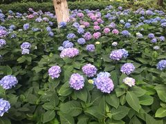 -常州古运河南大街文化旅游区-人民公园