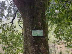 -罗田薄刀峰风景区