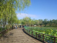 -绿堤公园