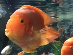 -福州罗源湾海洋世界旅游区