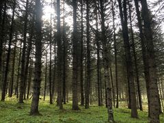 -硗碛藏寨·神木垒景区