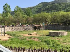 -西安秦岭野生动物园