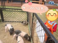 -太阳岛度假酒店