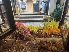 -桥边小楼·手工云南菜·古城观景小楼