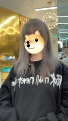 -潘多拉Hairsalon