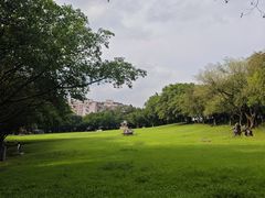 -广州雕塑公园
