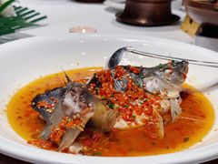 -印象鲵宴·张家界地标美食名片(溪布街店)