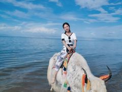 -青海湖国家重点风景名胜区