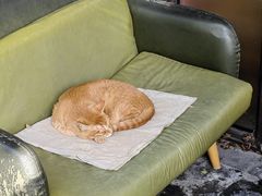 -卓粤拉肠(红庙店)