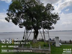 -观潮胜地公园