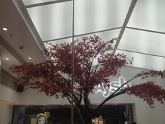 -艾薯夫妇Aysh(福田星河COCOPark店)