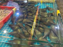 -三亚火车头万人海鲜广场