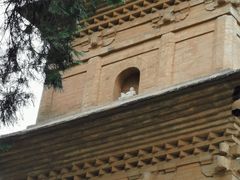 -兴教寺
