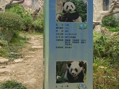 -石排湾郊野公园