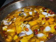 -雲蜀龙阁·金牌水煮鱼(方庄店)