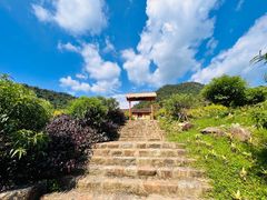 -广州市石门国家森林公园