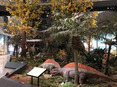 -湖南省地质博物馆