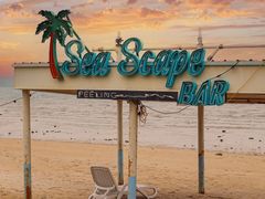 -巨鹏飞梦幻海岸