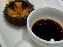 -小海丁