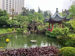 -上海虹桥宾馆(郁锦香品牌酒店)