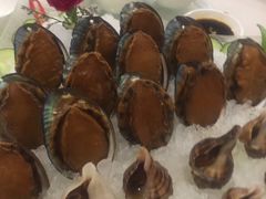 冰镇鲍鱼-鸿记海鲜大酒楼(开发区店)