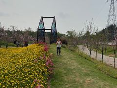 -海上田园