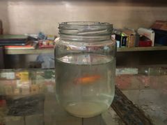 -赵府街副食店