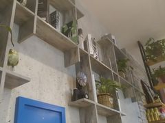 餐具摆设-花少爷·鲜虾干贝粥(延安万达店)