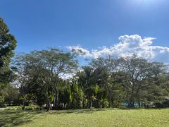 -中国科学院西双版纳热带植物园