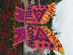 iphone_upload_pic-松山湖梦幻百花洲