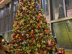 -云·酷 Atmosphere(国贸大酒店)