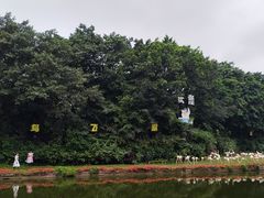 -广州长隆飞鸟乐园